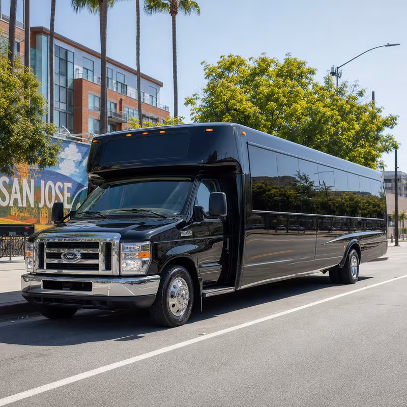 20 Passenger Party Bus