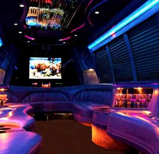 18 Passenger Party Bus Rental San Jose