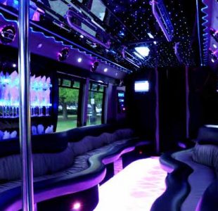 22 People Party Bus Limo San Jose