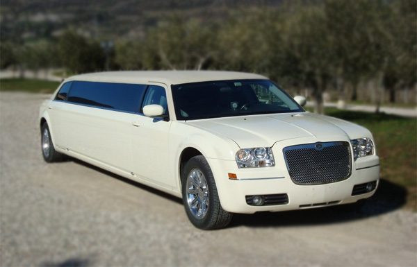 10 Passenger Limo